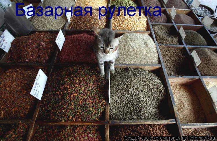 Базарная рулетка... Котоматрица: Базарная рулетка