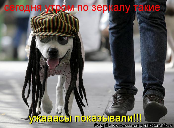 сегодня утром по зеркалу такие ужааасы показывали!!!... Котоматрица: сегодня утром по зеркалу такие ужааасы показывали!!!