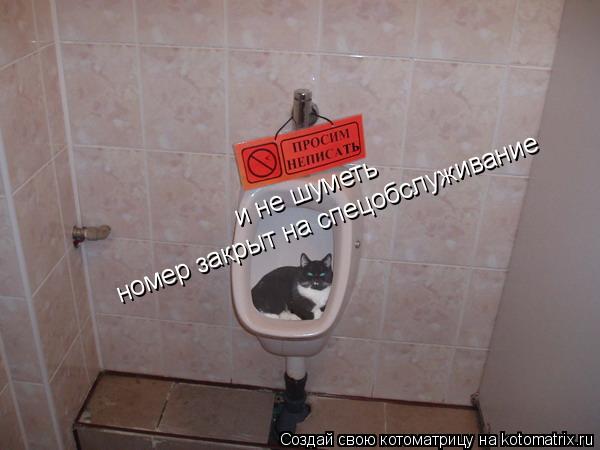 и не шуметь номер закрыт на спецобслуживание... Котоматрица: и не шуметь номер закрыт на спецобслуживание