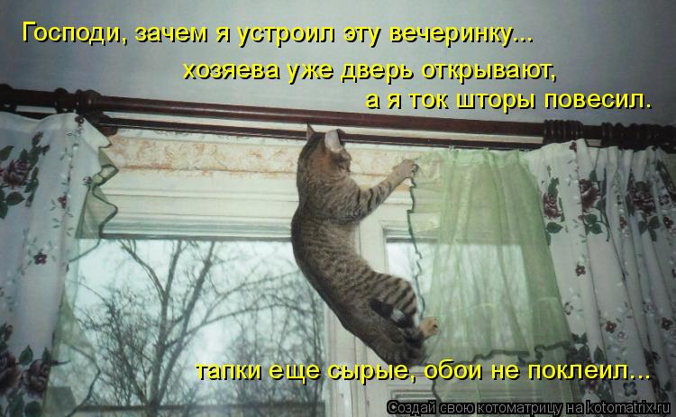 Господи, зачем я устроил эту вечеринку... хозяева уже дверь открывают, а я ток шторы повесил. тапки ... Котоматрица: Господи, зачем я устроил эту вечеринку... хозяева уже дверь открывают, а я ток шторы повесил. тапки еще сырые, обои не поклеил...