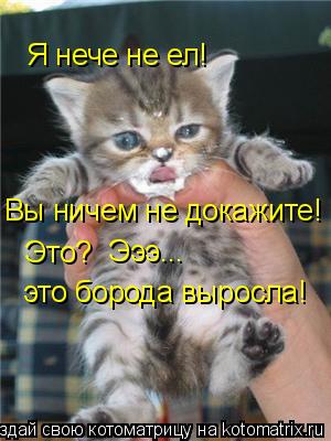 Я нече не ел! Вы ничем не докажите! Это? Эээ... это борода выросла!... Котоматрица: Я нече не ел! Вы ничем не докажите! Это? Эээ... это борода выросла!
