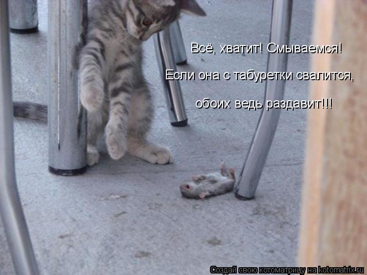 Всё, хватит! Смываемся! Если она с табуретки свалится, обоих ведь раздавит!!!... Котоматрица: Всё, хватит! Смываемся! Если она с табуретки свалится, обоих ведь раздавит!!!