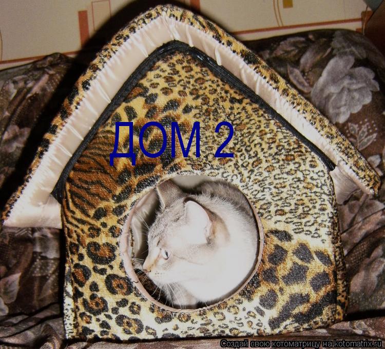 ДОМ 2... Котоматрица: ДОМ 2