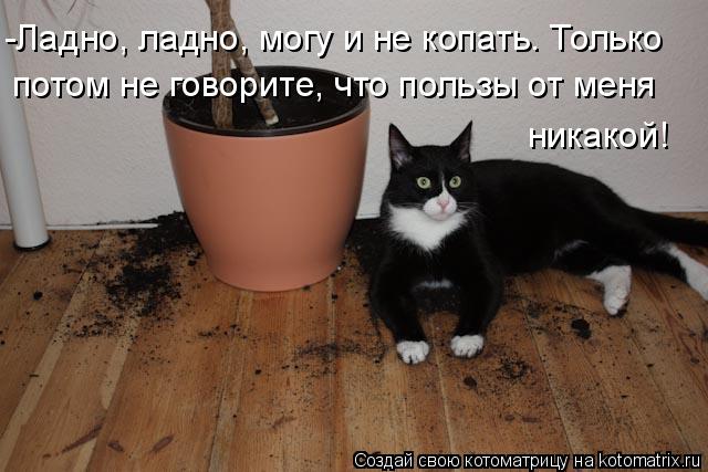 -Ладно, ладно, могу и не копать. Только потом не говорите, что пользы от меня никакой!... Котоматрица: -Ладно, ладно, могу и не копать. Только потом не говорите, что пользы от меня никакой!