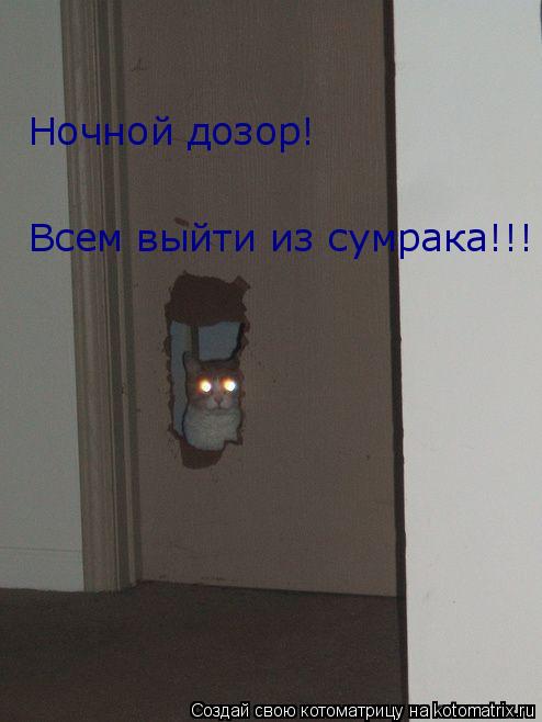 Котоматрица: Всем выйти из сумрака!!!                                                                                     Ночной дозор!