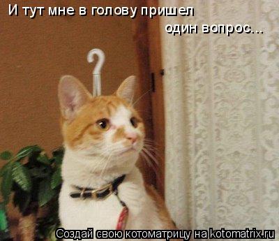 И тут мне в голову пришел один вопрос...... Котоматрица: И тут мне в голову пришел один вопрос...