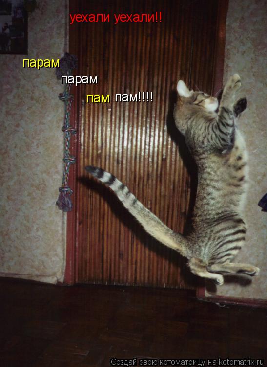 парам парам пам уехали уехали!! пам!!!!... Котоматрица: парам парам пам уехали уехали!! пам!!!!