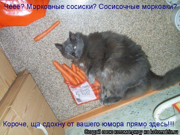 Чёёё? Морковные сосиски? Сосисочные морковки? Короче, ща сдохну от вашего юмора прямо здесь!!!... Котоматрица: Чёёё? Морковные сосиски? Сосисочные морковки? Короче, ща сдохну от вашего юмора прямо здесь!!!