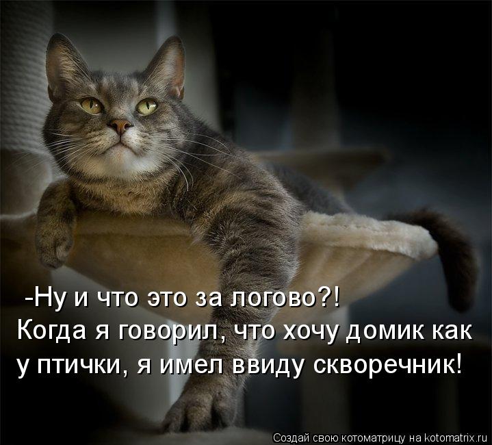 -Ну и что это за логово?! Когда я говорил, что хочу домик как у птички, я имел ввиду скворечник!... Котоматрица: -Ну и что это за логово?! Когда я говорил, что хочу домик как у птички, я имел ввиду скворечник!