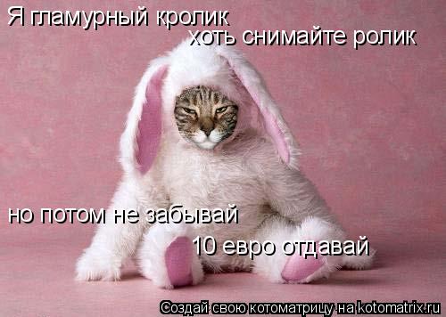 Я гламурный кролик хоть снимайте ролик но потом не забывай 10 евро отдавай... Котоматрица: Я гламурный кролик хоть снимайте ролик но потом не забывай 10 евро отдавай