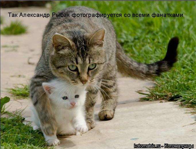 Так Александр Рыбак фотографируется со всеми фанатками... Котоматрица: Так Александр Рыбак фотографируется со всеми фанатками
