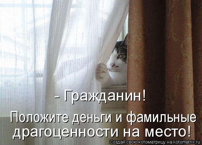 - Гражданин! Положите деньги и фамильные драгоценности нa место!... Котоматрица: - Гражданин! Положите деньги и фамильные драгоценности нa место!