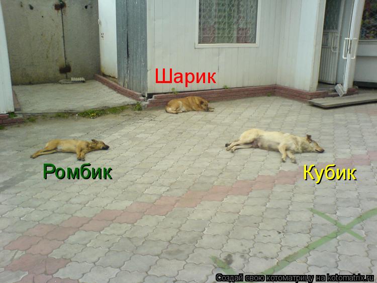 Шарик Ромбик Кубик... Котоматрица: Шарик Ромбик Кубик