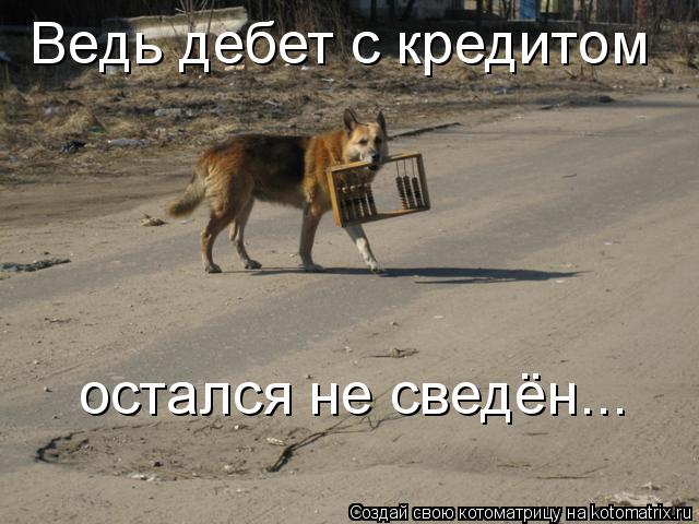 Котоматрица: Ведь дебет с кредитом  остался не сведён...