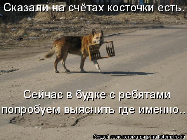 Котоматрица: Сказали на счётах косточки есть. Сейчас в будке с ребятами  попробуем выяснить где именно...