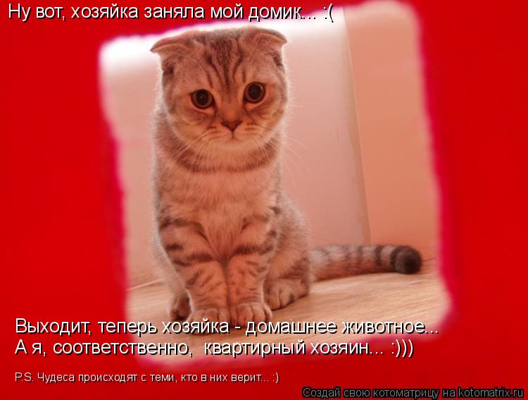 Котоматрица: Ну вот, хозяйка заняла мой домик... :( Выходит, теперь хозяйка - домашнее животное... А я, соответственно,  квартирный хозяин... :))) P.S. Чудеса прои