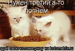 Котоматрица: Нужен третий,а то  лопнем