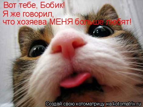 Вот тебе, Бобик! Я же говорил, что хозяева МЕНЯ больше любят!... Котоматрица: Вот тебе, Бобик! Я же говорил, что хозяева МЕНЯ больше любят!