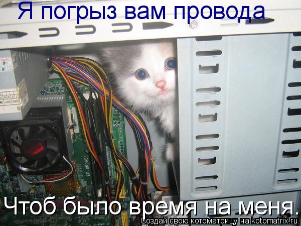 Я погрыз вам провода Чтоб было время на меня...... Котоматрица: Я погрыз вам провода Чтоб было время на меня...