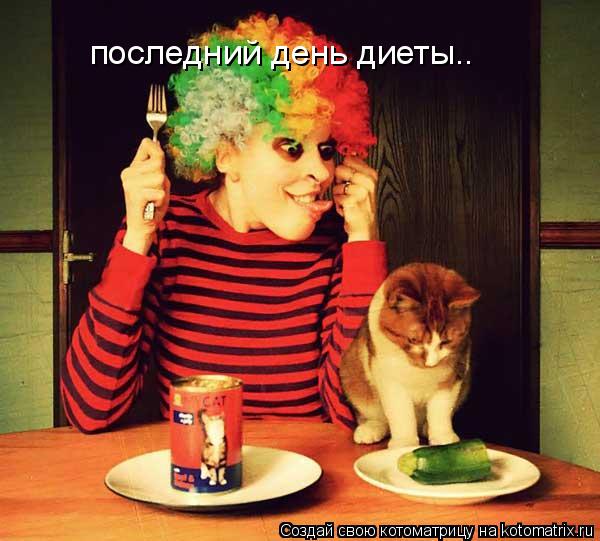 последний день диеты..... Котоматрица: последний день диеты..