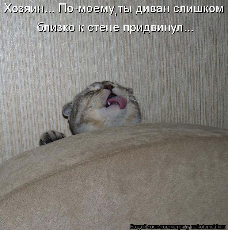 Хозяин... По-моему ты диван слишком близко к стене придвинул... ,... Котоматрица: Хозяин... По-моему ты диван слишком близко к стене придвинул... ,