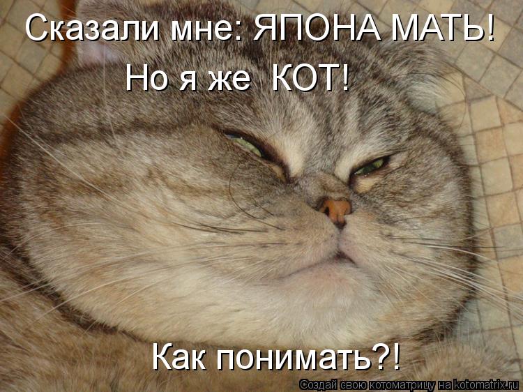 Сказали мне: ЯПОНА МАТЬ! Но я же КОТ! Как понимать?!... Котоматрица: Сказали мне: ЯПОНА МАТЬ! Но я же КОТ! Как понимать?!