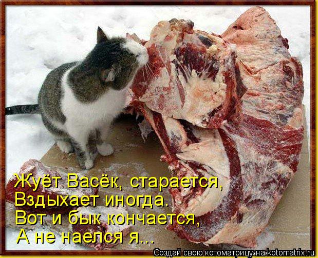 Жуёт Васёк, старается, Вздыхает иногда. Вот и бык кончается, А не наелся я...... Котоматрица: Жуёт Васёк, старается, Вздыхает иногда. Вот и бык кончается, А не наелся я...