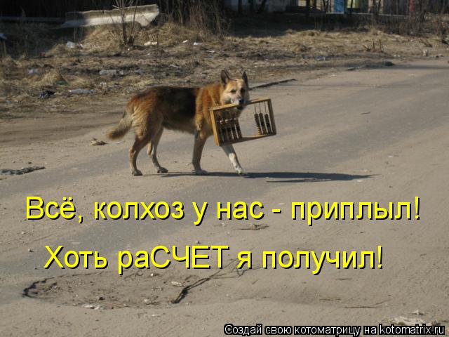 Котоматрица: Всё, колхоз у нас - приплыл! Хоть раСЧЕТ я получил!