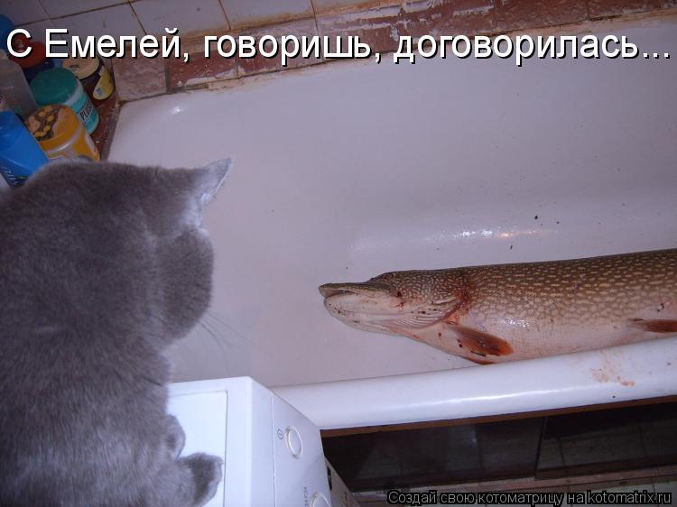 С Емелей, говоришь, договорилась...... Котоматрица: С Емелей, говоришь, договорилась...
