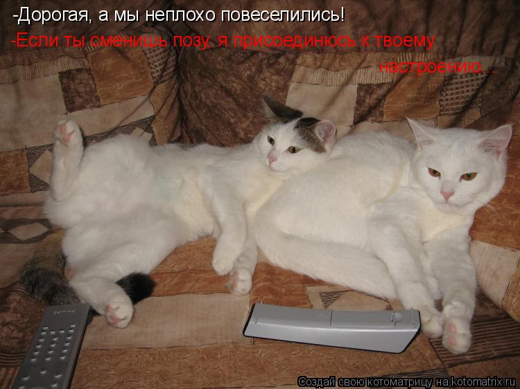 -Дорогая, а мы неплохо повеселились! -Если ты сменишь позу, я присоединюсь к твоему настроению...... Котоматрица: -Дорогая, а мы неплохо повеселились! -Если ты сменишь позу, я присоединюсь к твоему настроению...
