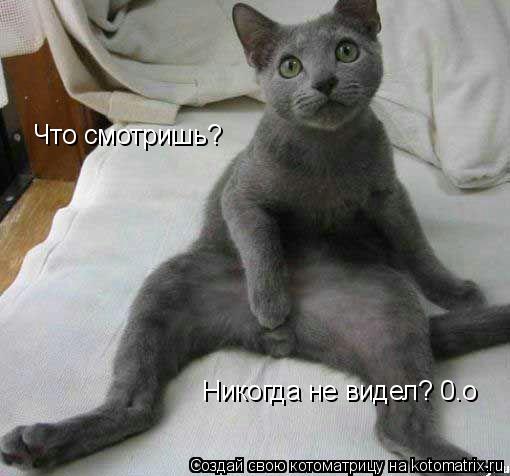 Что смотришь? Никогда не видел? 0.о... Котоматрица: Что смотришь? Никогда не видел? 0.о