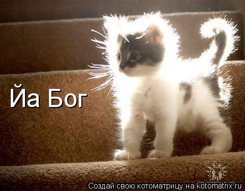 Йа Бог... Котоматрица: Йа Бог