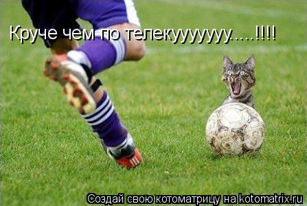 Круче чем по телекууууууу.....!!!!... Котоматрица: Круче чем по телекууууууу.....!!!!