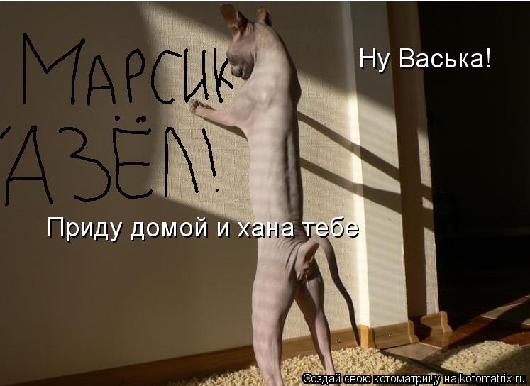 Ну Васька! Приду домой и хана тебе... Котоматрица: Ну Васька! Приду домой и хана тебе