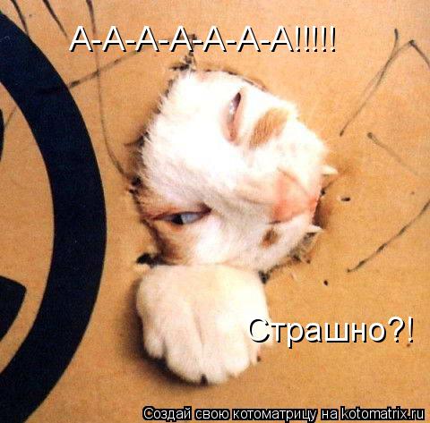 А-А-А-А-А-А-А!!!!! Страшно?!... Котоматрица: А-А-А-А-А-А-А!!!!! Страшно?!