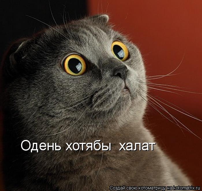 Одень хотябы халат... Котоматрица: Одень хотябы халат