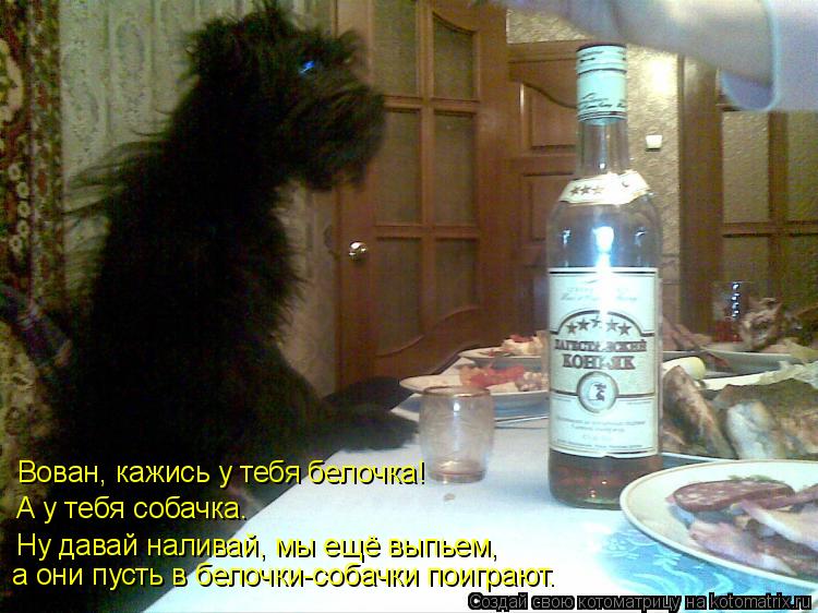 Вован, кажись у тебя белочка! А у тебя собачка. Ну давай наливай, мы ещё выпьем, а они пусть в бел... Котоматрица: Вован, кажись у тебя белочка! А у тебя собачка. Ну давай наливай, мы ещё выпьем, а они пусть в белочки-собачки поиграют.