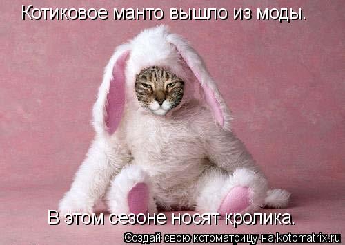 Котиковое манто вышло из моды. В этом сезоне носят кролика.... Котоматрица: Котиковое манто вышло из моды. В этом сезоне носят кролика.