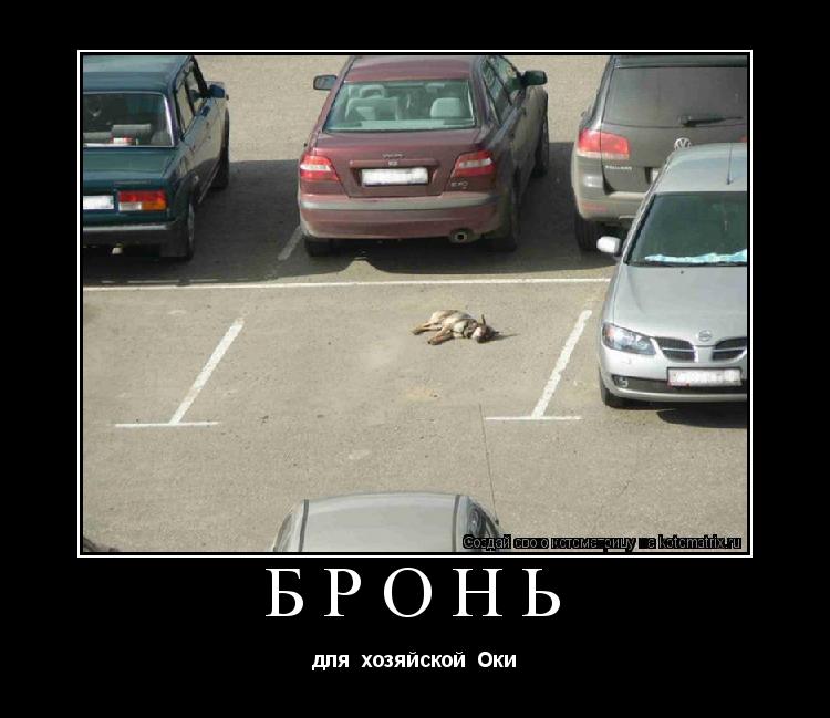бронь для хозяйской Оки... Котоматрица: бронь для хозяйской Оки
