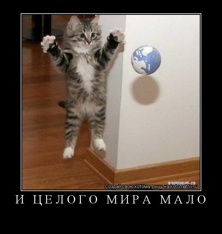 И ЦЕЛОГО МИРА МАЛО ... Котоматрица: И ЦЕЛОГО МИРА МАЛО