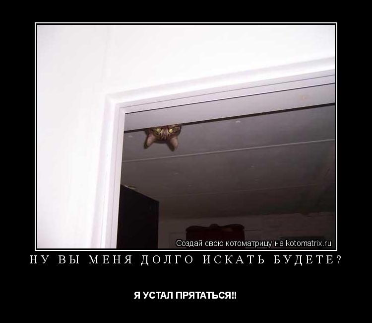 НУ ВЫ МЕНЯ ДОЛГО ИСКАТЬ БУДЕТЕ? Я УСТАЛ ПРЯТАТЬСЯ!!... Котоматрица: НУ ВЫ МЕНЯ ДОЛГО ИСКАТЬ БУДЕТЕ? Я УСТАЛ ПРЯТАТЬСЯ!!