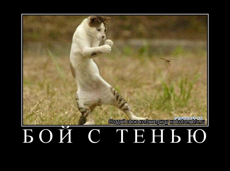 БОЙ С ТЕНЬЮ ... Котоматрица: БОЙ С ТЕНЬЮ