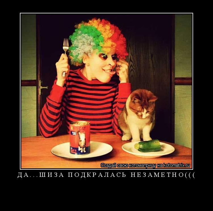 ДА...ШИЗА ПОДКРАЛАСЬ НЕЗАМЕТНО((( ... Котоматрица: ДА...ШИЗА ПОДКРАЛАСЬ НЕЗАМЕТНО(((