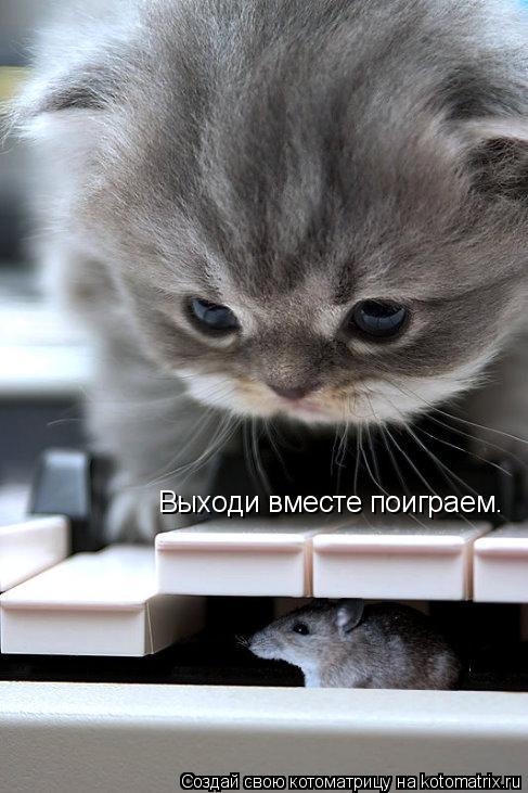 Выходи вместе поиграем.... Котоматрица: Выходи вместе поиграем.
