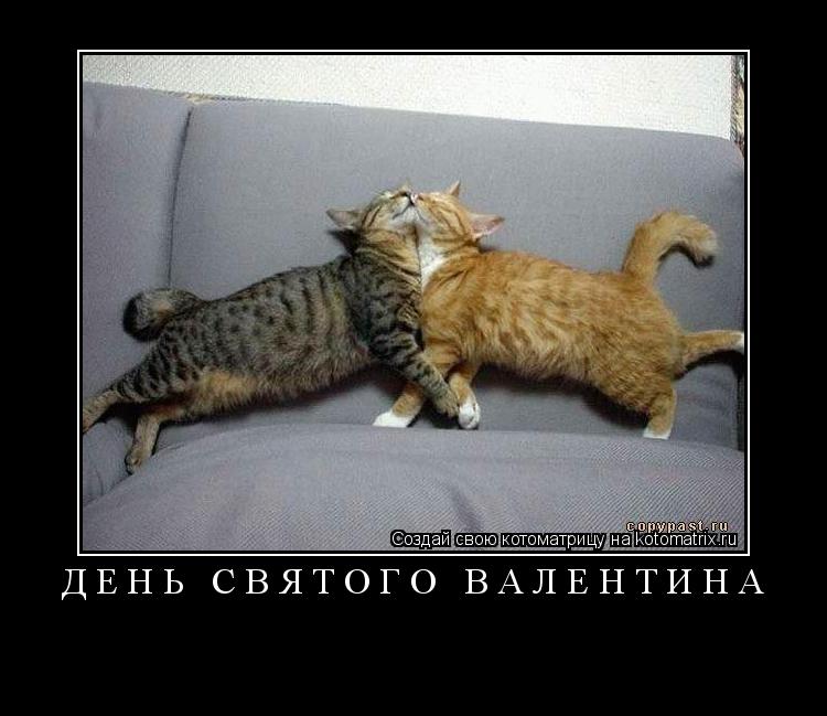 ДЕНЬ СВЯТОГО ВАЛЕНТИНА ... Котоматрица: ДЕНЬ СВЯТОГО ВАЛЕНТИНА