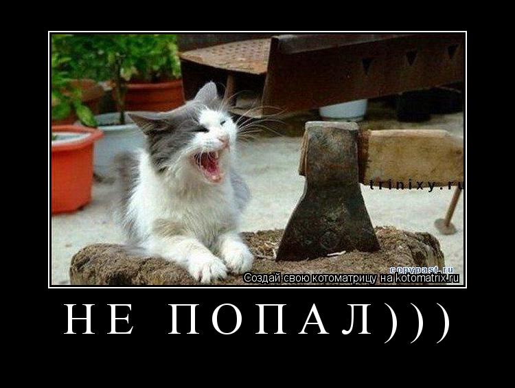 НЕ ПОПАЛ))) ... Котоматрица: НЕ ПОПАЛ)))