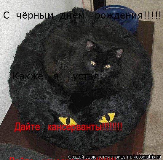 С чёрным днём рождения!!!!!!!!!!!! Какже я устал Дайте кансерванты!!!!!!!! Дайте кансерв... Котоматрица: С чёрным днём рождения!!!!!!!!!!!! Какже я устал Дайте кансерванты!!!!!!!! Дайте кансерванты!!!!!!!!