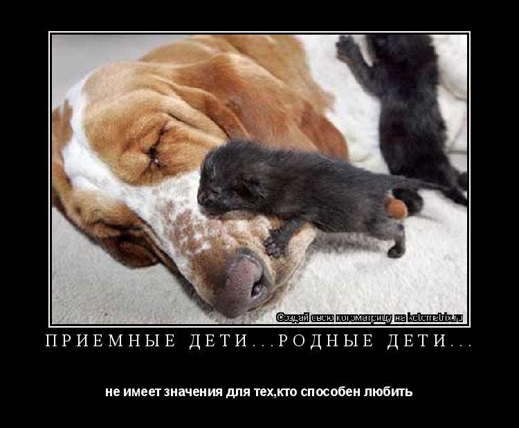 приемные дети...родные дети... не имеет значения для тех,кто способен любить... Котоматрица: приемные дети...родные дети... не имеет значения для тех,кто способен любить