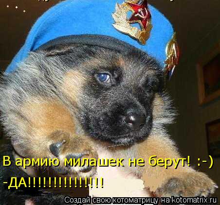 В армию милашек не берут! :-) -ДА!!!!!!!!!!!!!!!... Котоматрица: В армию милашек не берут! :-) -ДА!!!!!!!!!!!!!!!