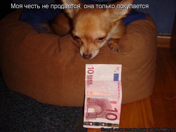 Моя честь не продается, она только покупается... Котоматрица: Моя честь не продается, она только покупается